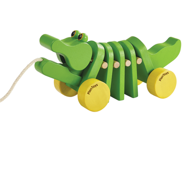 Dancing Alligator